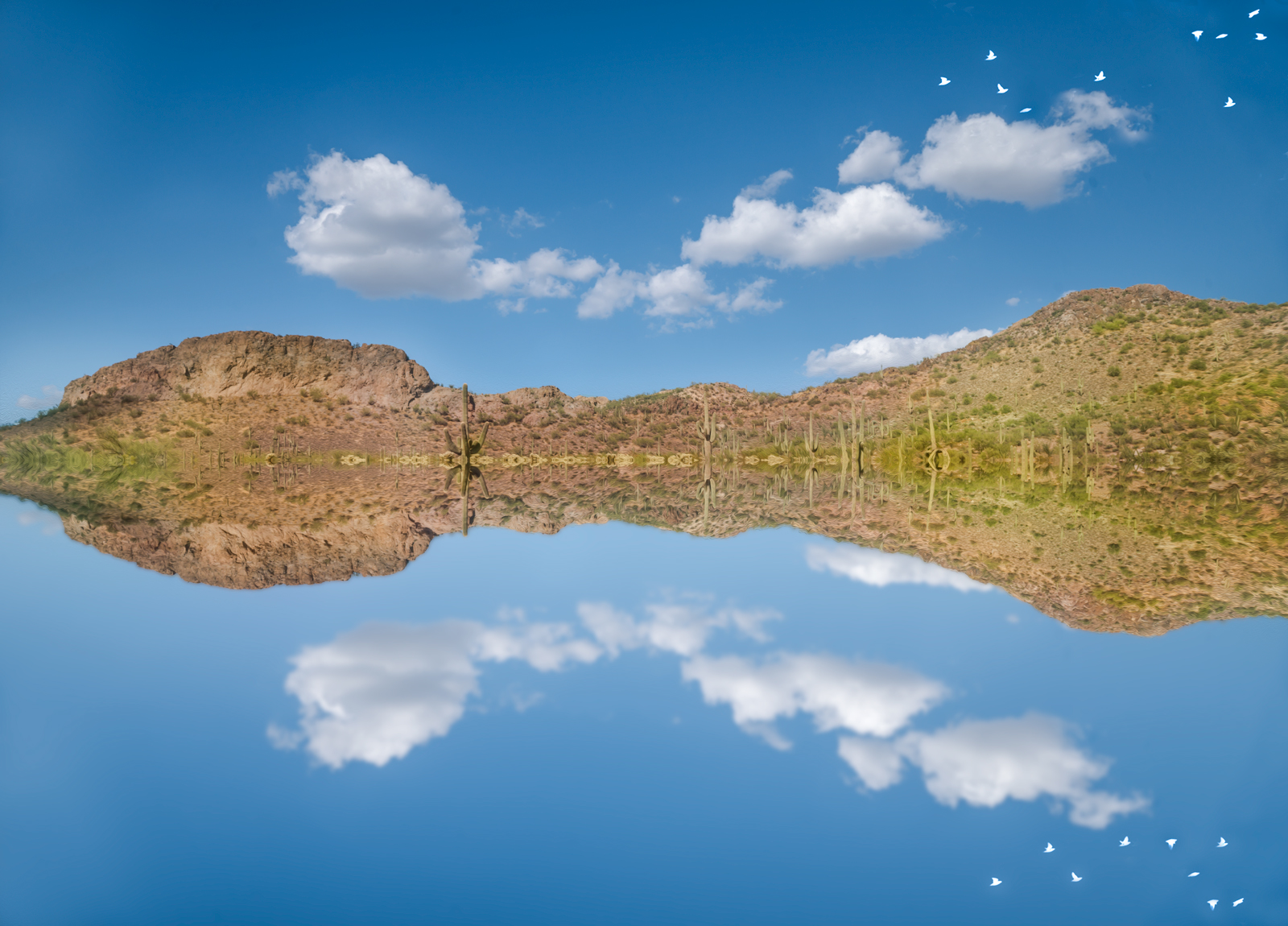 Happy Birthday Phillippe